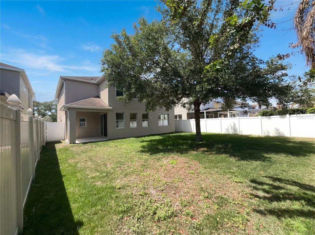 The backyard of a two-story house features a covered patio and a large tree — 4309 SALTMARSH SPARROW DRIVE, WINDERMERE, FL