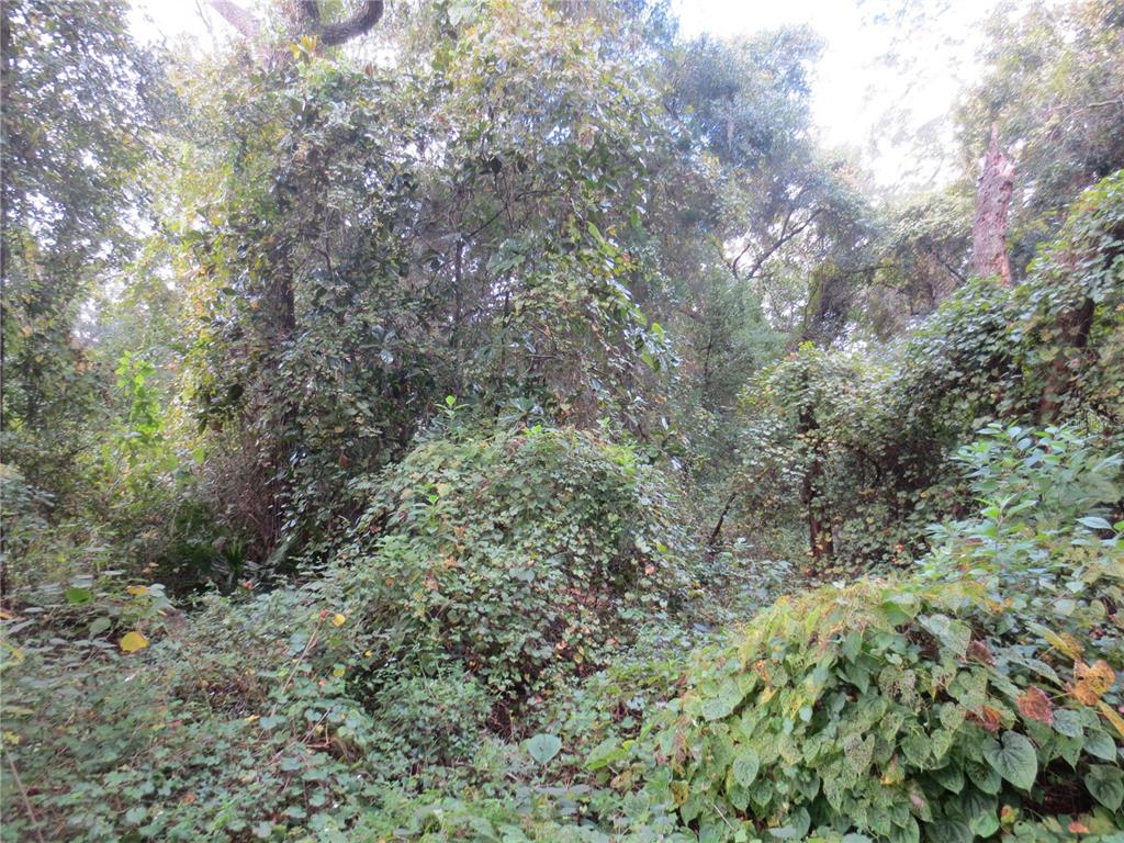0 NE 174TH COURT, SILVER SPRINGS, FL — photo 2 of 8