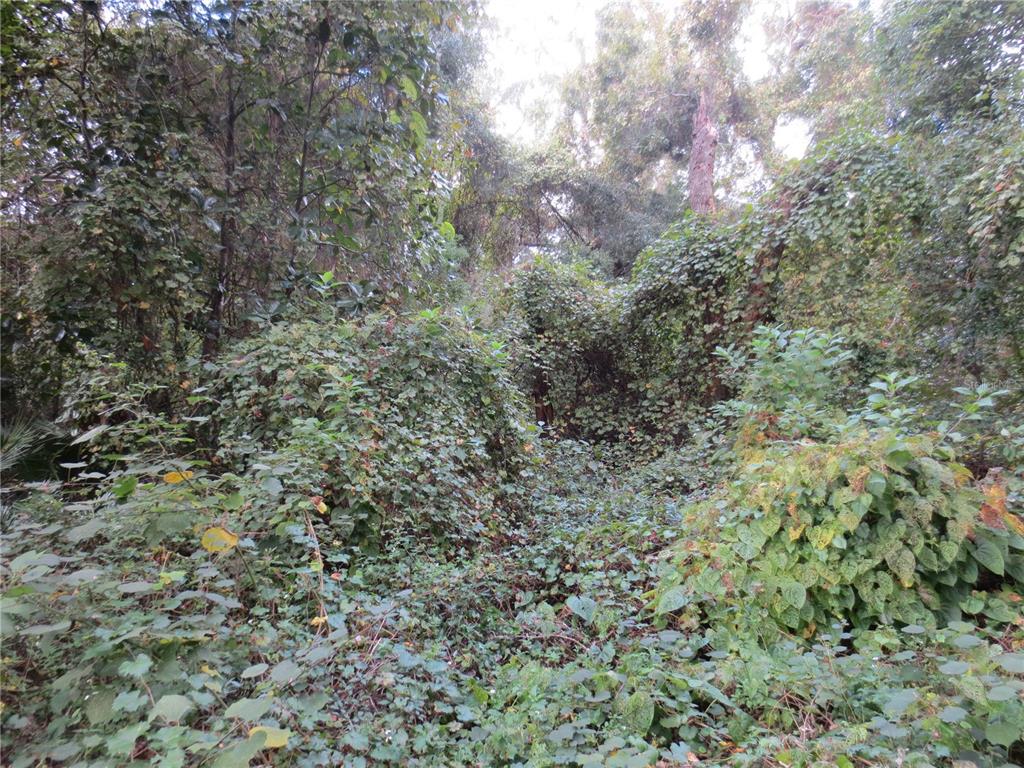 0 NE 174TH COURT, SILVER SPRINGS, FL — photo 3 of 8