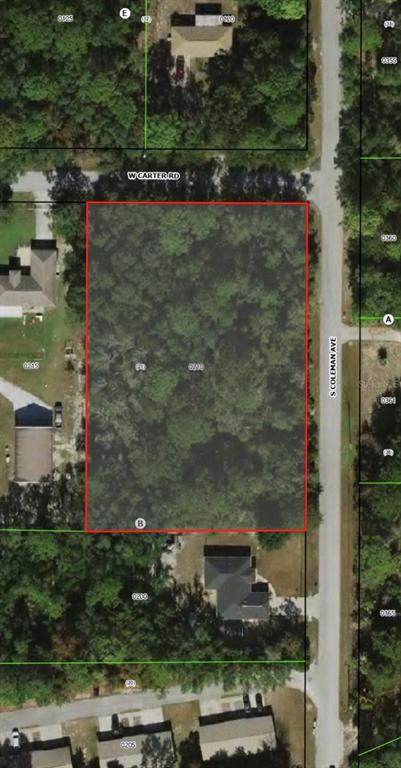 6100 W CARTER ROAD, HOMOSASSA, FL — photo 2 of 2