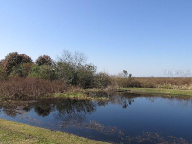 A small pond sits in front of a grassy field with trees under a clear sky — KISSIMMEE PARK ROAD, ST CLOUD, FL
