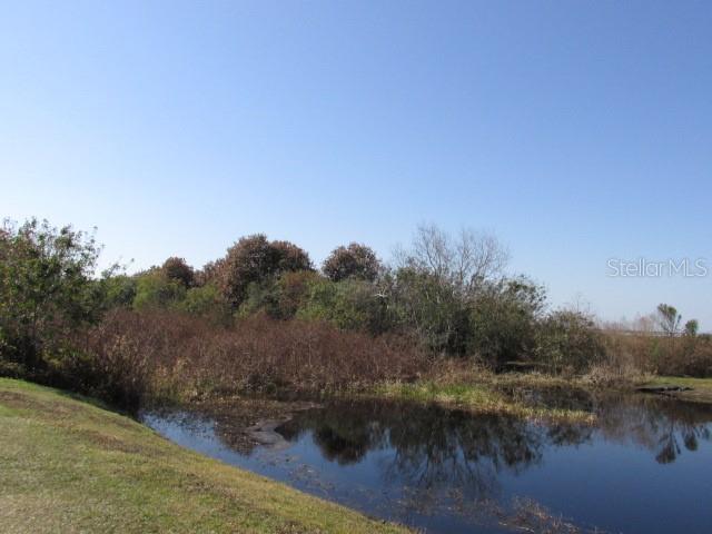 A small pond sits in front of a line of trees under a clear sky — KISSIMMEE PARK ROAD, ST CLOUD, FL