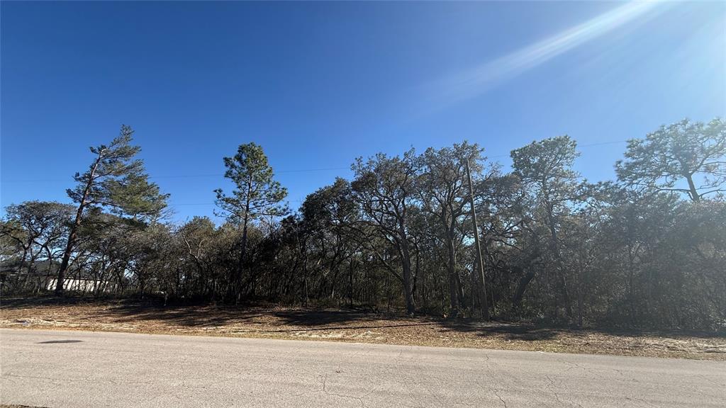 LOT 11 MARION OAKS PASS