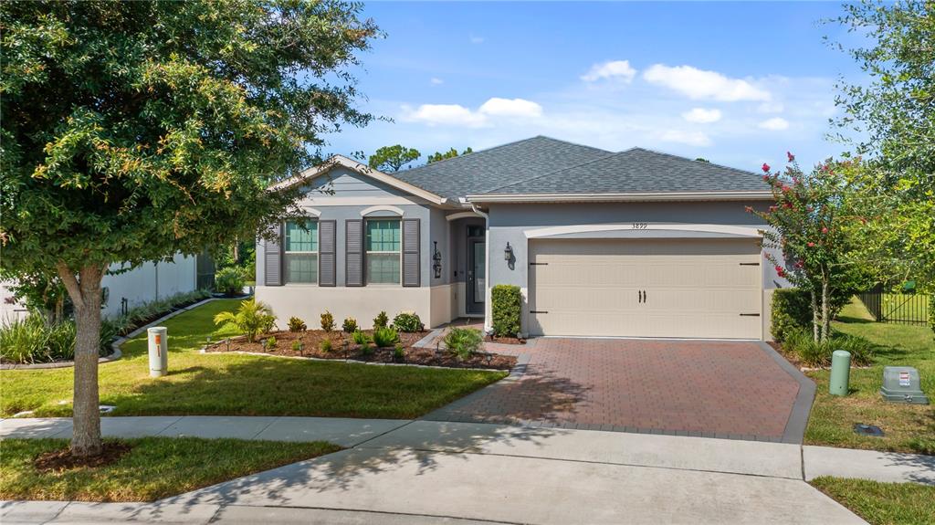 3899 WINGED ELM COURT