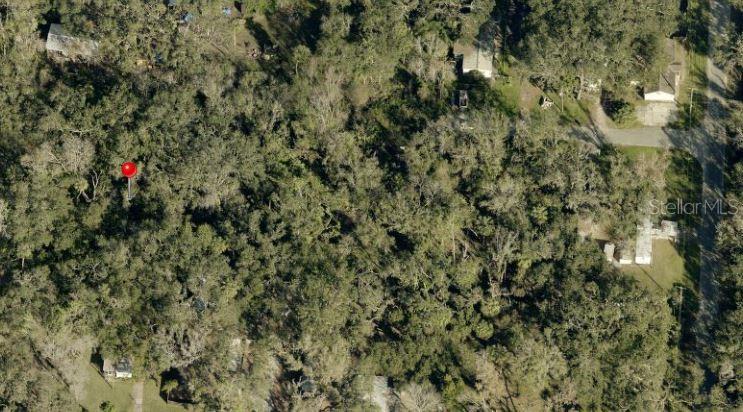 An aerial view shows a heavily wooded lot with a red pin marking the property — 931 ESTELLE AVENUE, BRANDON, FL