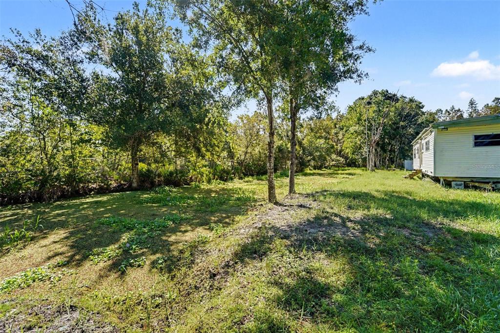1346 SIERRA PINES BOULEVARD, LUTZ, FL — photo 5 of 13