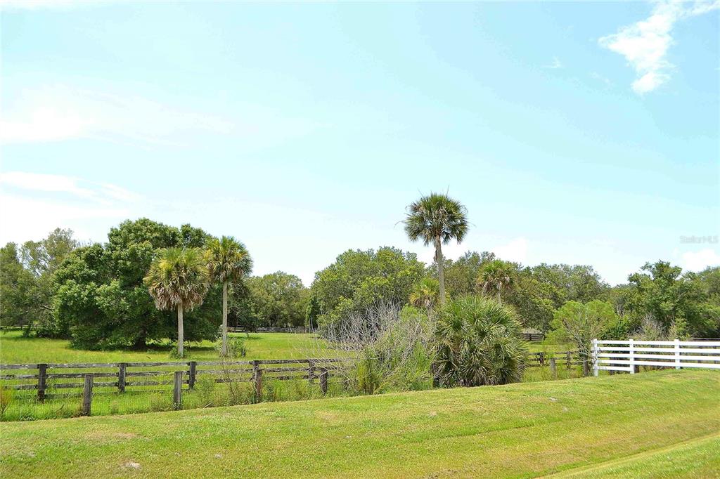 A grassy field features a wooden fence, palm trees, and a white fence under blue skies — 4567 HIGHWAY 710, OKEECHOBEE, FL