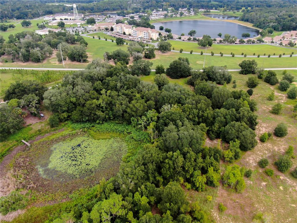 TBD LOT 7 KEENE ROAD, ALTOONA, FL — photo 3 of 4
