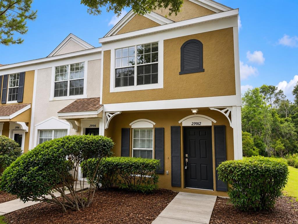 29912 ALTA VITA LANE