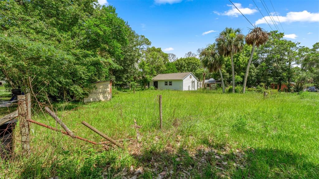 An overgrown grassy lot features a small white house and a shed under palm trees — 10085 PLUM STREET, HAMPTON, FL