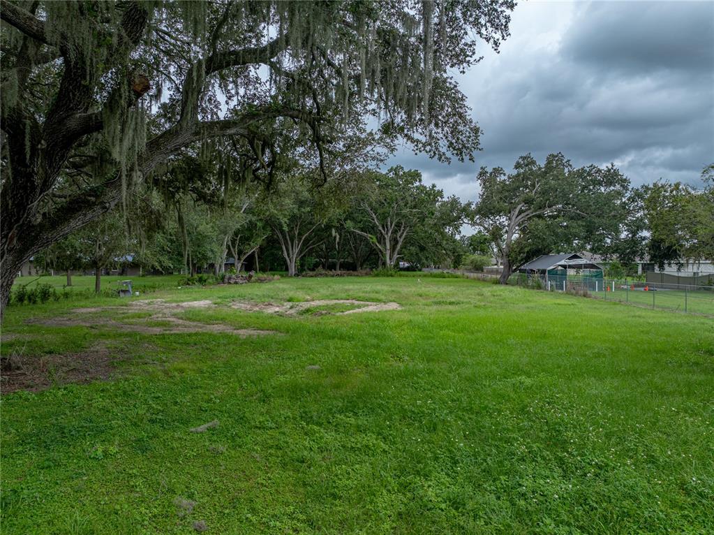 A grassy, open lot features several large, mature oak trees under a cloudy sky — OLD BERKLEY ROAD, AUBURNDALE, FL
