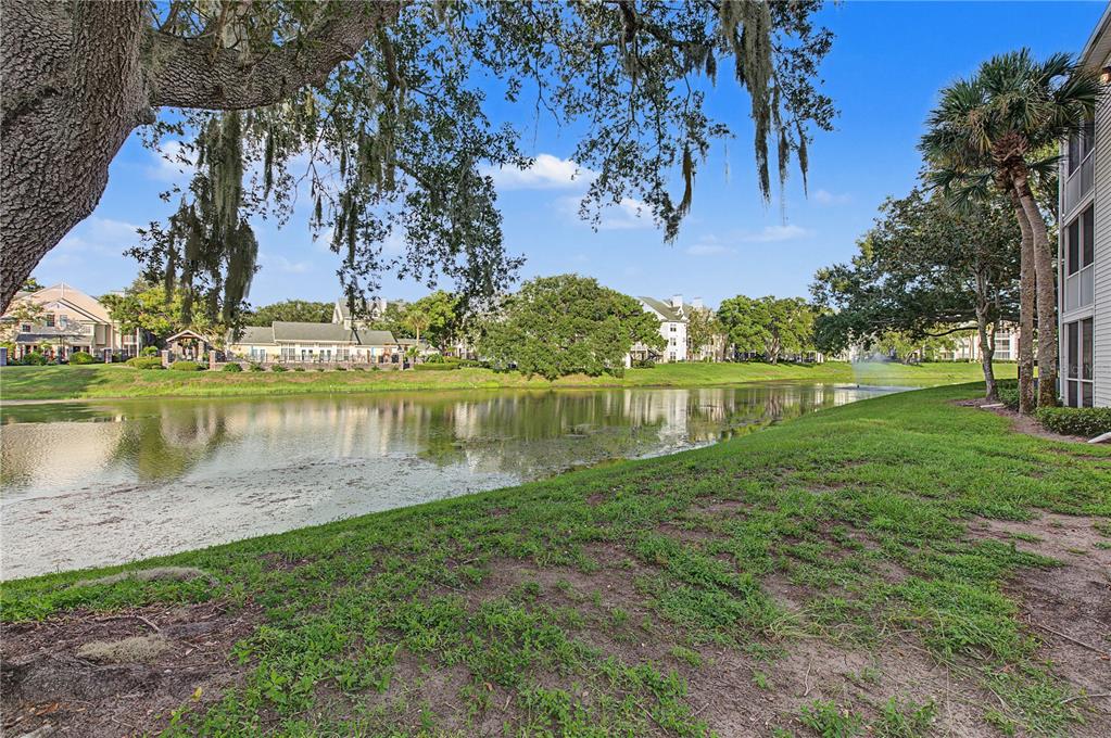 3261 HAVILAND COURT UNIT 104, PALM HARBOR, FL — photo 3 of 60
