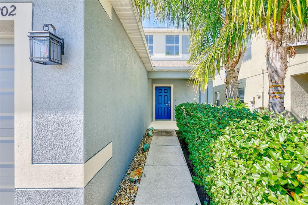 A concrete walkway leads to a blue front door beside a house and green hedge — 1902 HAWKS VIEW DRIVE, RUSKIN, FL