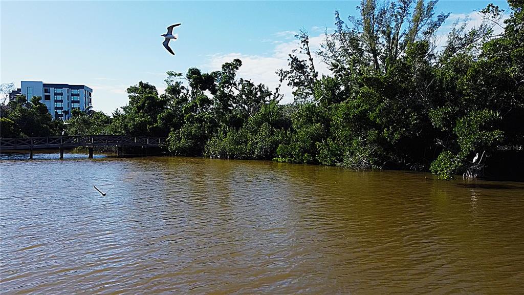 A wooden footbridge crosses a brown waterway near dense green trees and a modern building — 8534 HERON LAGOON CIRCLE, SARASOTA, FL