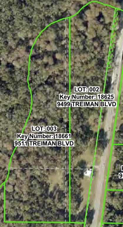 This is an aerial map showing two adjacent land parcels outlined in green — 9499 TREIMAN BOULEVARD, WEBSTER, FL