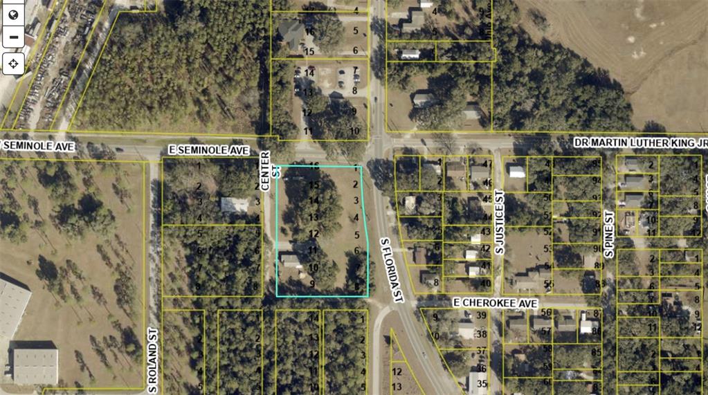 This is an aerial map view showing property lot lines, street names, and surrounding vegetation — 309 S CENTER STREET, BUSHNELL, FL