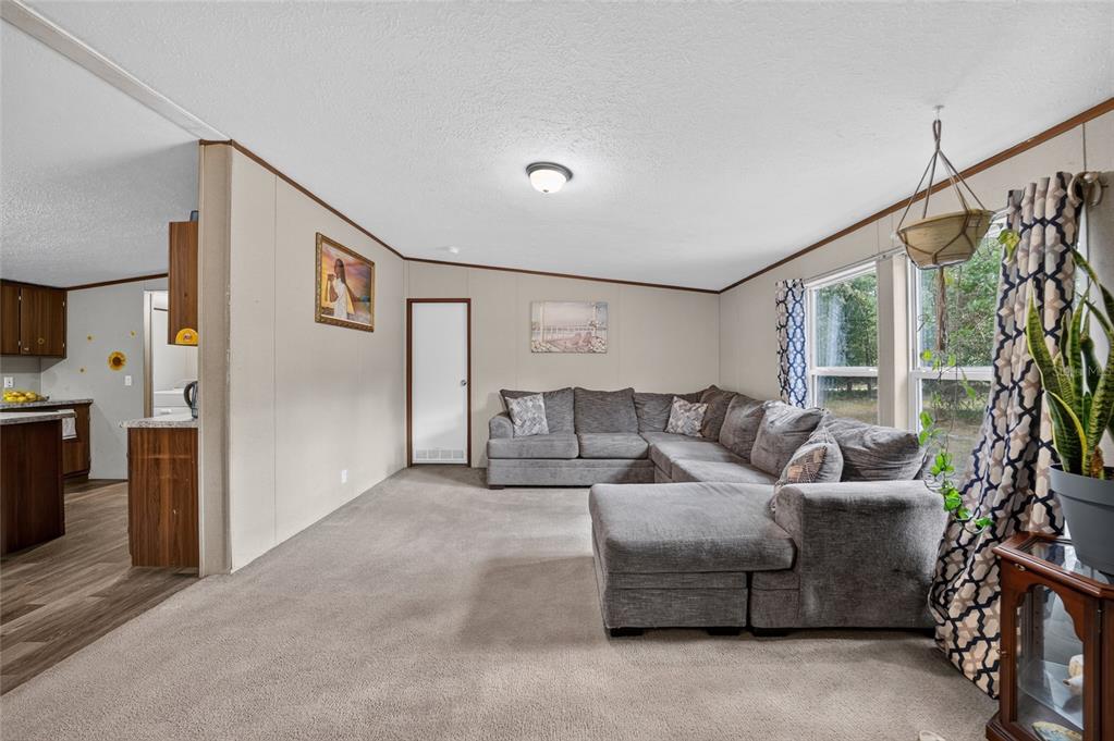 A living room features beige carpet, a large gray sectional sofa, and an adjacent kitchen — 4842 W NESTER COURT, HOMOSASSA, FL