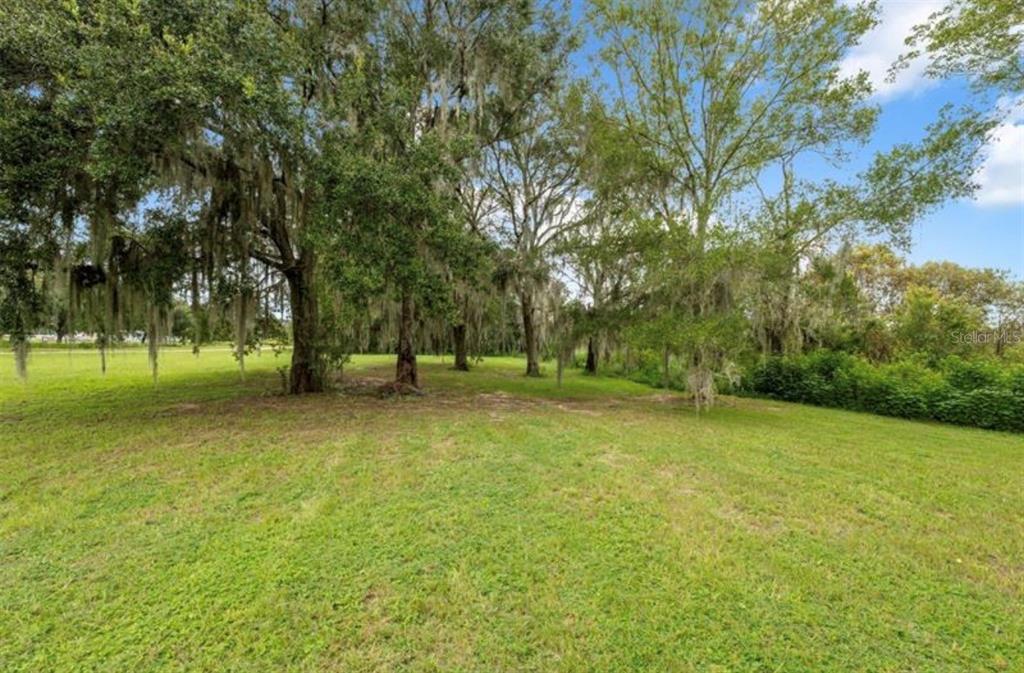 A grassy, open lot features several large, moss-draped oak trees under a blue sky — 9028 MCKENDREE ROAD, WESLEY CHAPEL, FL