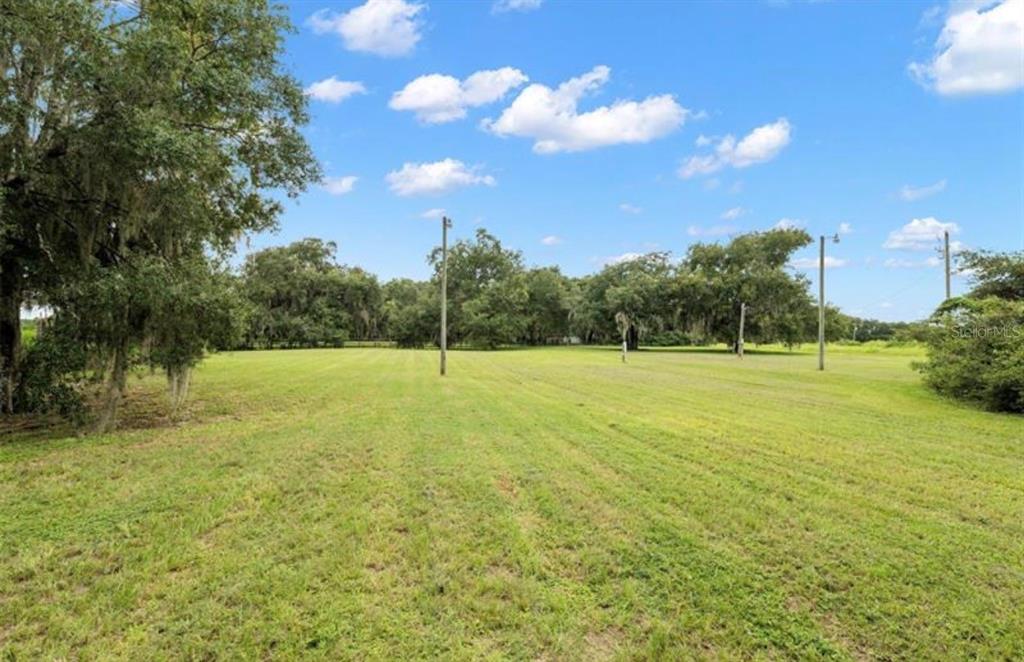 A large, grassy, open field is surrounded by mature trees under a blue sky — 9028 MCKENDREE ROAD, WESLEY CHAPEL, FL