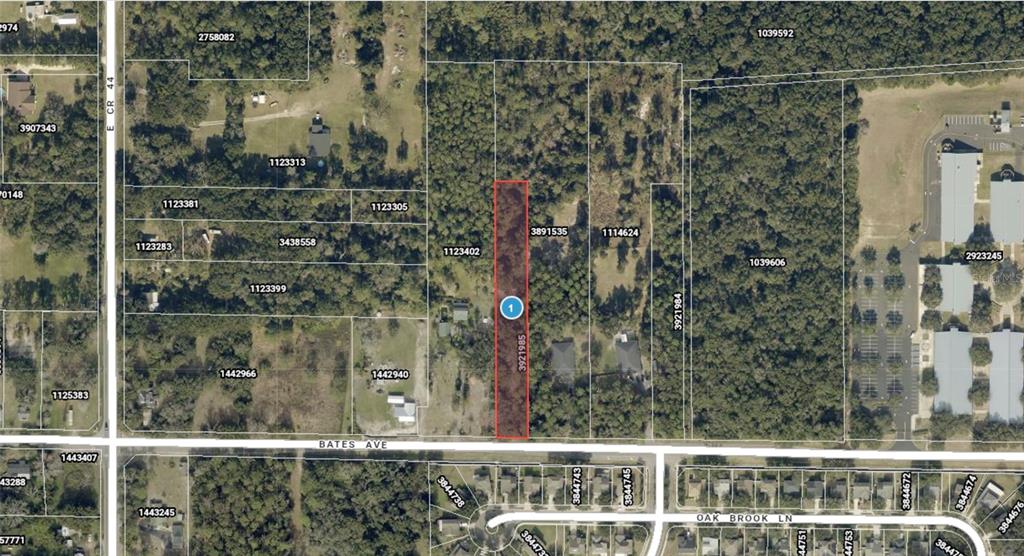 This is an aerial map showing a highlighted rectangular parcel of land near a road — E BATES AVENUE, EUSTIS, FL