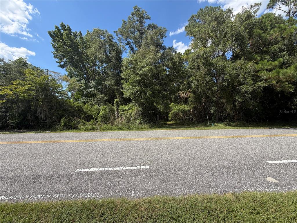 A paved road runs in front of a densely wooded, undeveloped plot of land — E BATES AVENUE, EUSTIS, FL