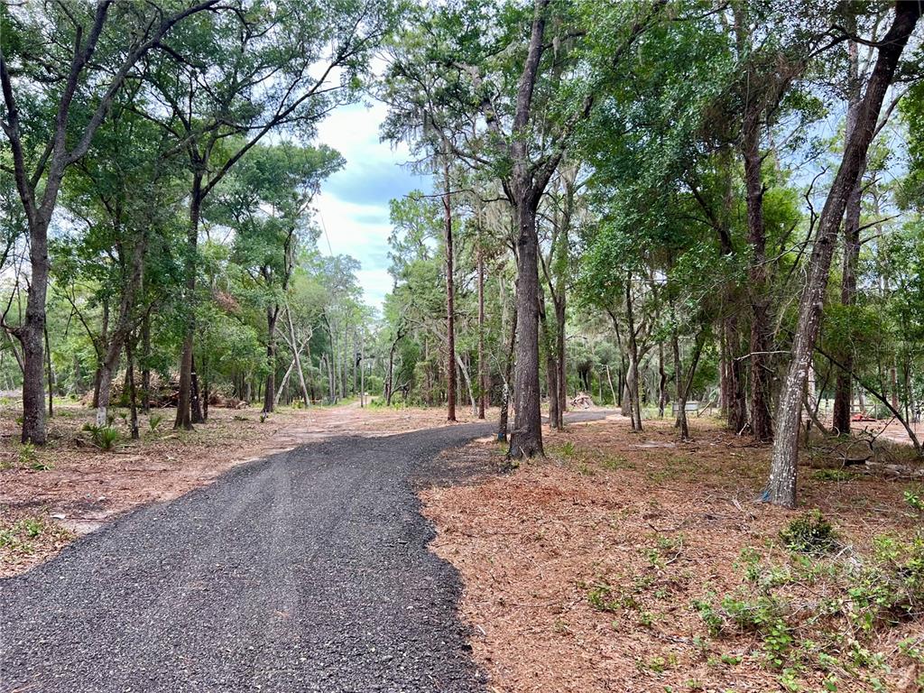 SE 152ND - LOT 16 (RAVENSWOOD RD) PARCEL B PLACE, ALTOONA, FL — photo 5 of 30