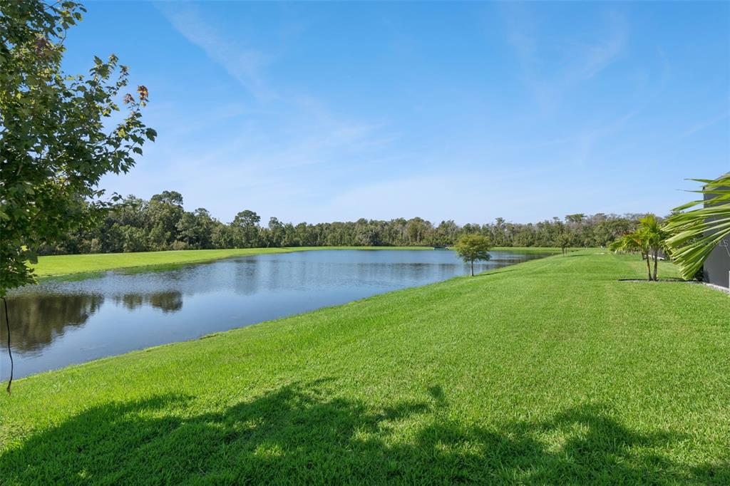 9542 PETITION WAY, ORLANDO, FL — photo 3 of 61