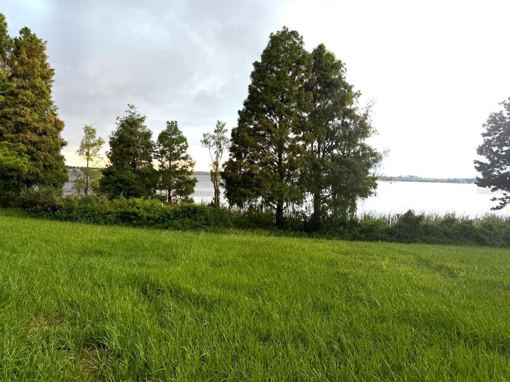 An aerial view shows a rectangular plot of land with trees and a small building — ADAMS BARN ROAD, AUBURNDALE, FL