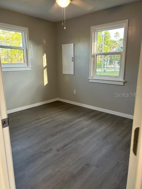 An empty room features gray walls, wood-look flooring, two windows, and a white wall cabinet — 2750 N COMANCHE POINT, CRYSTAL RIVER, FL