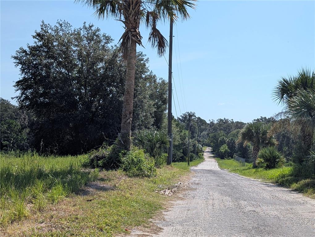 A gravel road stretches through a rural landscape lined with palm trees and dense vegetation — 700 GRANT AVENUE, DELAND, FL