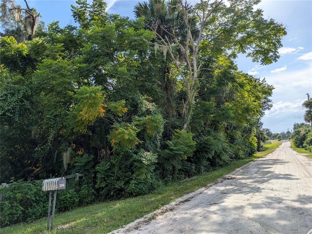A dirt road runs alongside a densely wooded lot with a mailbox in the foreground — 700 GRANT AVENUE, DELAND, FL