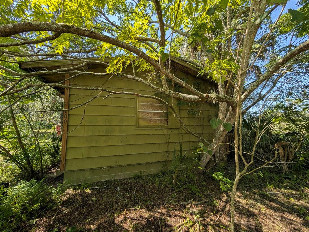 An exterior view of a small, weathered green wooden shed surrounded by trees and foliage — 700 GRANT AVENUE, DELAND, FL