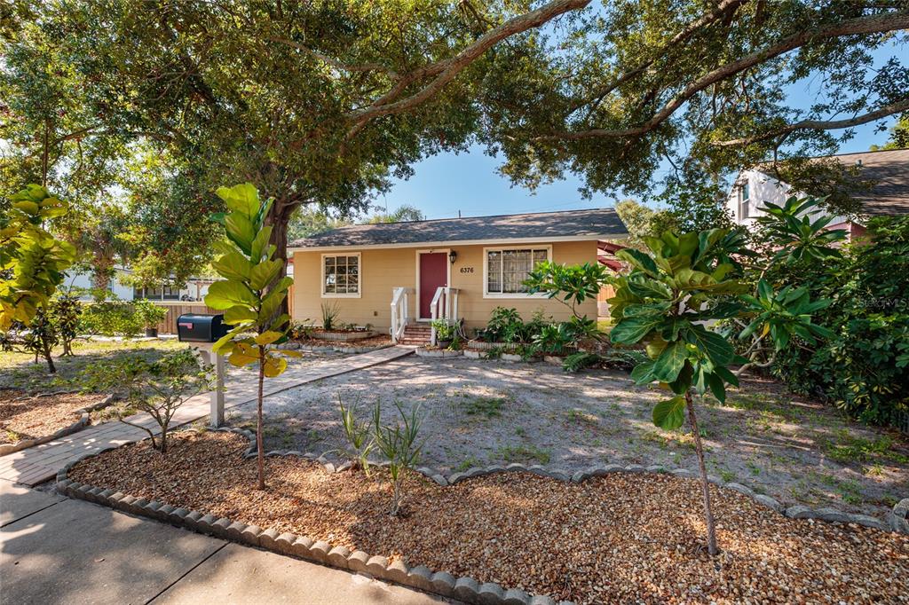 A single-story house with a tan exterior, a red front door, and a gravel front yard — 6376 4TH AVENUE S, ST PETERSBURG, FL