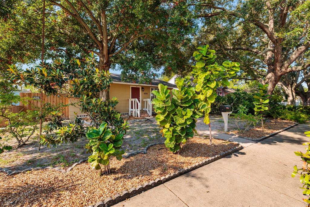 A single-story house with a tan exterior and red front door sits behind a landscaped yard — 6376 4TH AVENUE S, ST PETERSBURG, FL