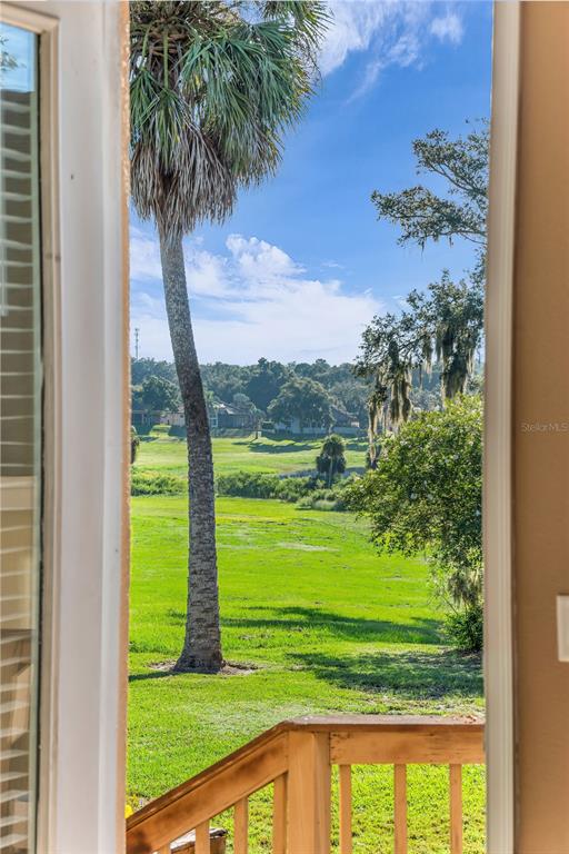 A view of a grassy yard and palm tree seen through an open doorway — 1036 LINKSIDE COURT, APOPKA, FL