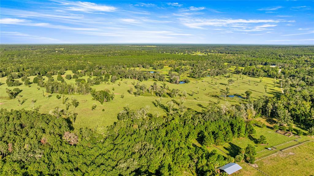 An aerial view shows a large, grassy pasture dotted with trees and a small building — 17748 N HWY 329, REDDICK, FL