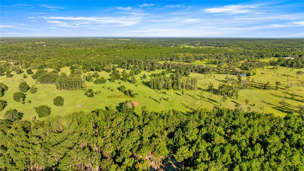An aerial view shows a large, grassy pasture dotted with trees and surrounded by forest — 17748 N HWY 329, REDDICK, FL