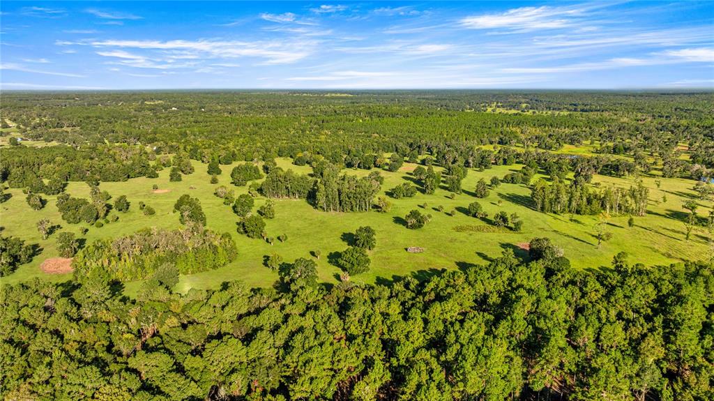An aerial view shows a large, grassy pasture dotted with trees and surrounded by forest — 17748 N HWY 329, REDDICK, FL