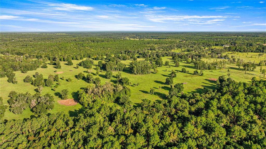 An aerial view shows a large, grassy pasture dotted with trees and surrounded by forest — 17748 N HWY 329, REDDICK, FL