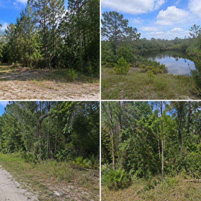 A four-panel collage shows a wooded lot with sandy ground and a small pond — LESLIE DRIVE, DELAND, FL