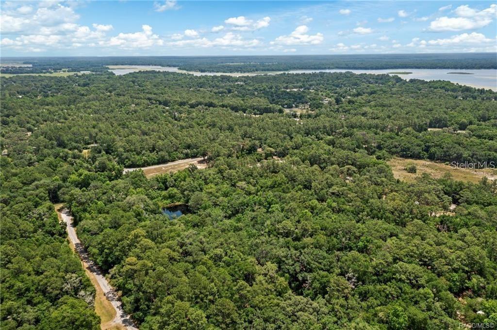 An aerial view shows a dense forest with a small pond and a nearby road — 11151 HWY 40 E, INGLIS, FL