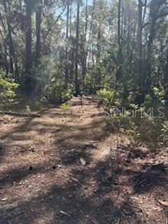37610 OAKLEE ROAD, UMATILLA, FL — photo 3 of 30