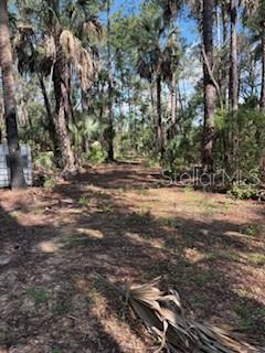 37610 OAKLEE ROAD, UMATILLA, FL — photo 4 of 30
