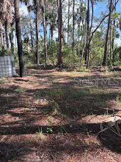 37610 OAKLEE ROAD, UMATILLA, FL — photo 5 of 30