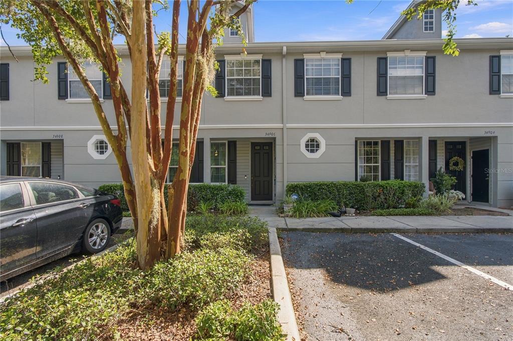 34906 TEEVIEW LANE, ZEPHYRHILLS, FL — photo 2 of 30