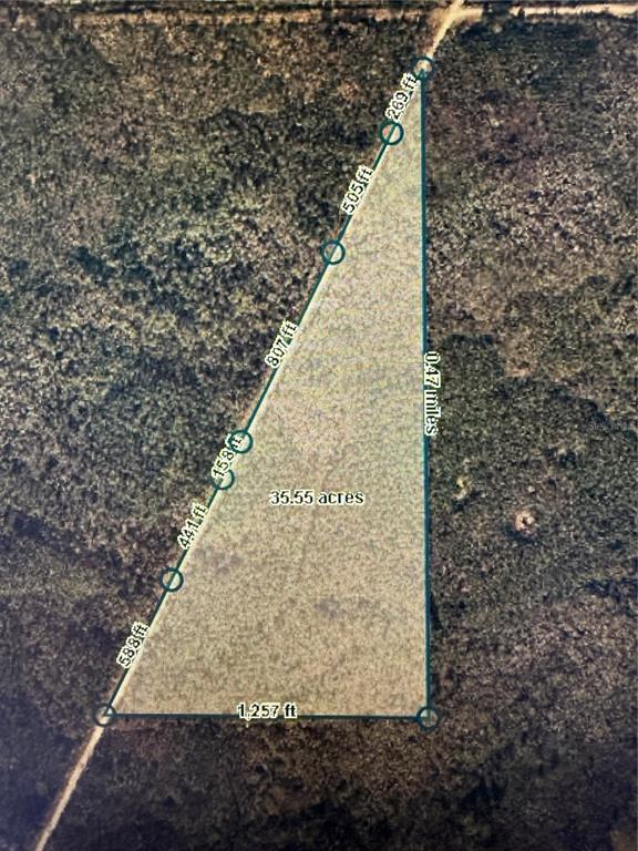 This is an aerial map showing a triangular plot of land labeled as 35.55 acres — 35 Acres MADISON MAIN LINE, PERRY, FL