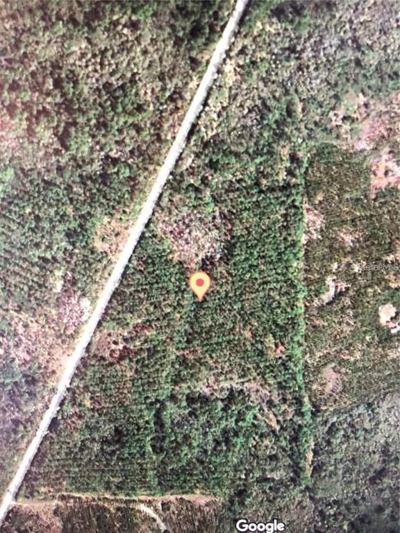 This is an aerial map view of a wooded lot marked with a location pin — 35 Acres MADISON MAIN LINE, PERRY, FL