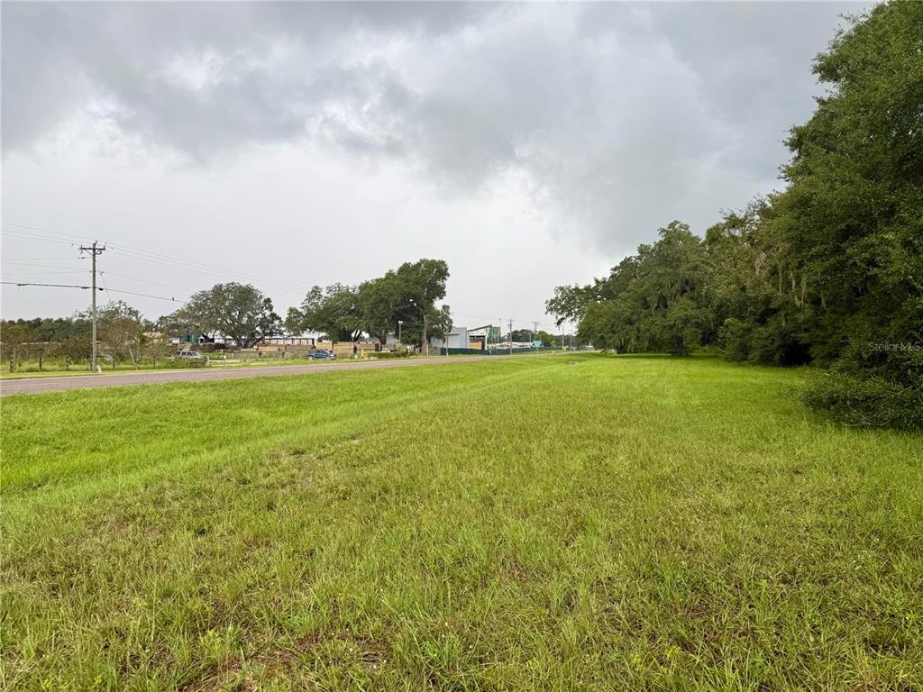A grassy, undeveloped lot sits adjacent to a paved road under a cloudy sky — 0 STATE ROAD 471, WEBSTER, FL