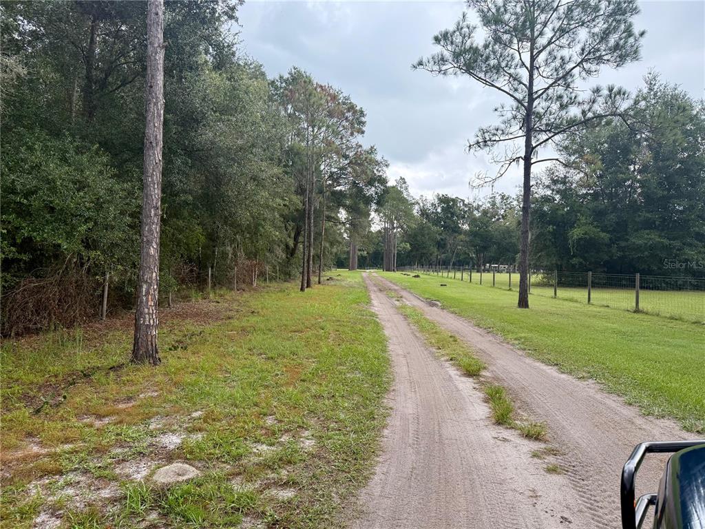 A dirt path leads through a grassy field lined with trees and a wire fence — 0 STATE ROAD 471, WEBSTER, FL