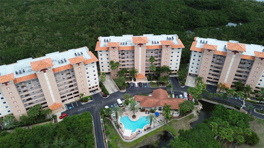 12055 GANDY BOULEVARD N UNIT 243